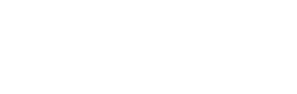 Brain Assessment (180 days)